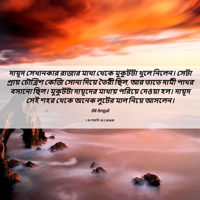 Picture 06 - 1 বংশাৱলি 20:2 BENIRV - দায়ূদ সেখানকার - Bible Verse Picture