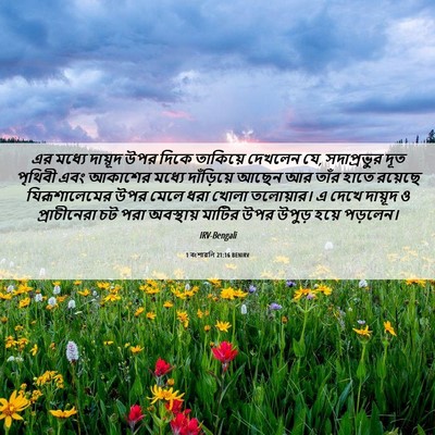 Picture 06 - 1 বংশাৱলি 21:16 BENIRV - এর মধ্যে দায়ূদ - Bible Verse Picture