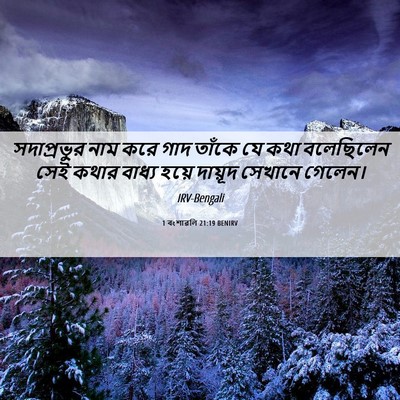 Picture 06 - 1 বংশাৱলি 21:19 BENIRV - সদাপ্রভুর নাম করে - Bible Verse Picture