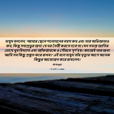 Picture 06 - 1 বংশাৱলি 22:5 BENIRV - দায়ূদ বললেন, - Bible Verse Picture