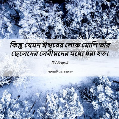 Picture 06 - 1 বংশাৱলি 23:14 BENIRV - কিন্তু যেমন - Bible Verse Picture