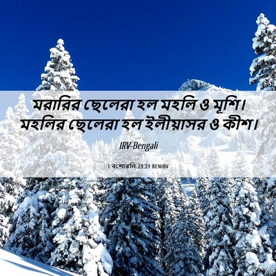 Picture 06 - 1 বংশাৱলি 23:21 BENIRV - মরারির ছেলেরা হল - Bible Verse Picture