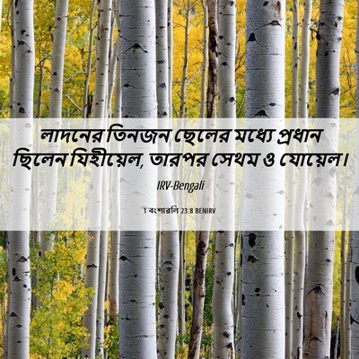 Picture 06 - 1 বংশাৱলি 23:8 BENIRV - লাদনের তিনজন - Bible Verse Picture