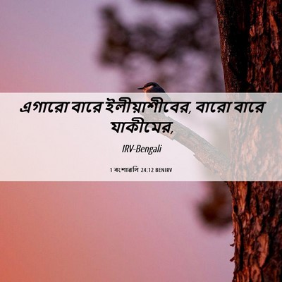 Picture 06 - 1 বংশাৱলি 24:12 BENIRV - এগারো বারে - Bible Verse Picture