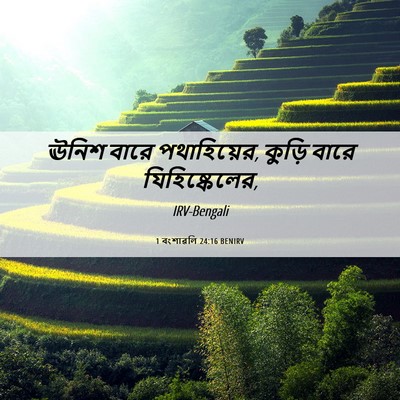 Picture 06 - 1 বংশাৱলি 24:16 BENIRV - ঊনিশ বারে - Bible Verse Picture