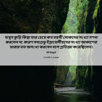 Picture 06 - 1 বংশাৱলি 27:23 BENIRV - দায়ূদ কুড়ি - Bible Verse Picture