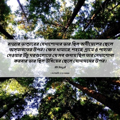 Picture 06 - 1 বংশাৱলি 27:25 BENIRV - রাজার ভান্ডারের - Bible Verse Picture