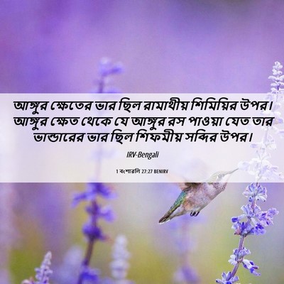 Picture 06 - 1 বংশাৱলি 27:27 BENIRV - আঙ্গুর ক্ষেতের - Bible Verse Picture