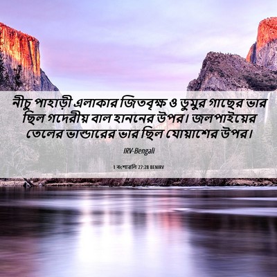 Picture 06 - 1 বংশাৱলি 27:28 BENIRV - নীচু পাহাড়ী - Bible Verse Picture