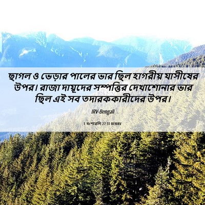 Picture 06 - 1 বংশাৱলি 27:31 BENIRV - ছাগল ও ভেড়ার - Bible Verse Picture