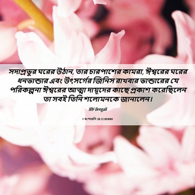 Picture 06 - 1 বংশাৱলি 28:12 BENIRV - সদাপ্রভুর ঘরের - Bible Verse Picture