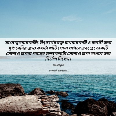 Picture 06 - 1 বংশাৱলি 28:17 BENIRV - মাংস তুলবার কাঁটা, - Bible Verse Picture
