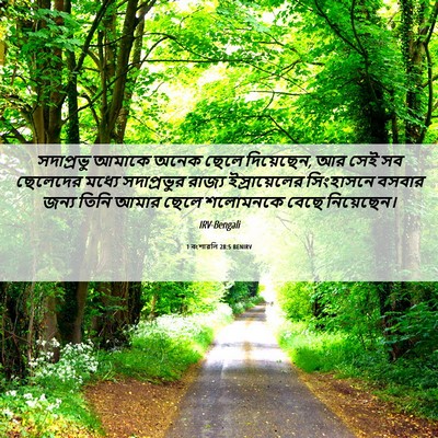 Picture 06 - 1 বংশাৱলি 28:5 BENIRV - সদাপ্রভু আমাকে - Bible Verse Picture