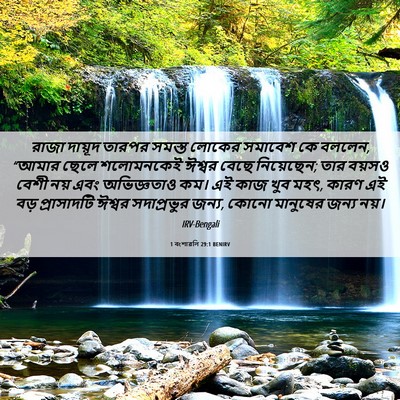 Picture 06 - 1 বংশাৱলি 29:1 BENIRV - রাজা দায়ূদ তারপর - Bible Verse Picture