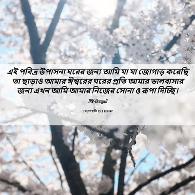 Picture 06 - 1 বংশাৱলি 29:3 BENIRV - এই পবিত্র উপাসনা - Bible Verse Picture