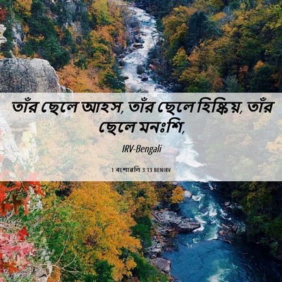 Picture 06 - 1 বংশাৱলি 3:13 BENIRV - তাঁর ছেলে আহস, তাঁর - Bible Verse Picture