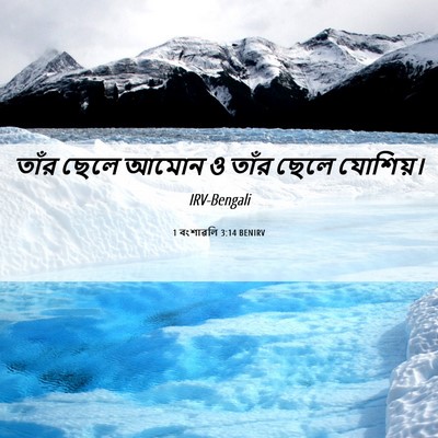 Picture 06 - 1 বংশাৱলি 3:14 BENIRV - তাঁর ছেলে আমোন ও - Bible Verse Picture