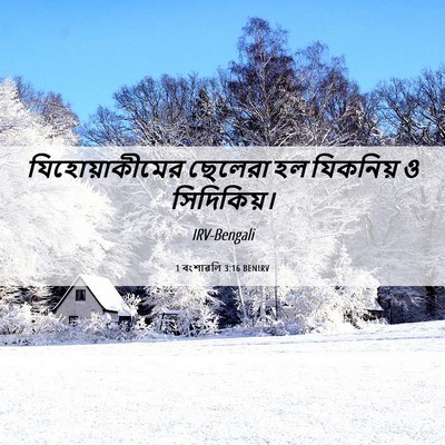 Picture 06 - 1 বংশাৱলি 3:16 BENIRV - যিহোয়াকীমের - Bible Verse Picture