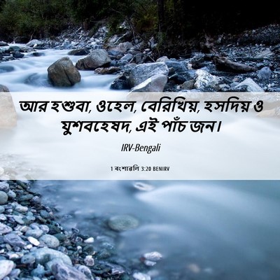 Picture 06 - 1 বংশাৱলি 3:20 BENIRV - আর হশুবা, ওহেল, - Bible Verse Picture