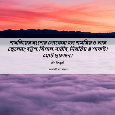 Picture 06 - 1 বংশাৱলি 3:22 BENIRV - শখনিয়ের বংশের - Bible Verse Picture