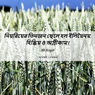 Picture 06 - 1 বংশাৱলি 3:23 BENIRV - নিয়রিয়ের তিনজন - Bible Verse Picture