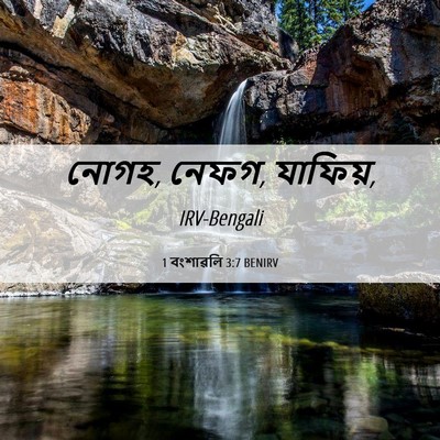 Picture 06 - 1 বংশাৱলি 3:7 BENIRV - নোগহ, নেফগ, - Bible Verse Picture