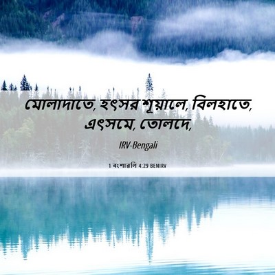 Picture 06 - 1 বংশাৱলি 4:29 BENIRV - মোলাদাতে, হৎসর - Bible Verse Picture