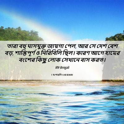 Picture 06 - 1 বংশাৱলি 4:40 BENIRV - তারা বহু ঘাসযুক্ত - Bible Verse Picture