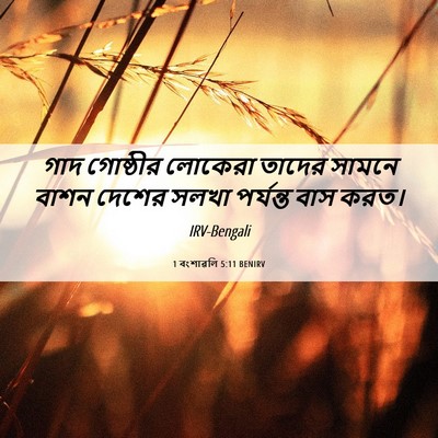 Picture 06 - 1 বংশাৱলি 5:11 BENIRV - গাদ গোষ্ঠীর - Bible Verse Picture