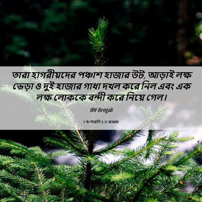 Picture 06 - 1 বংশাৱলি 5:21 BENIRV - তারা হাগরীয়দের - Bible Verse Picture