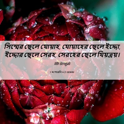 Picture 06 - 1 বংশাৱলি 6:21 BENIRV - সিম্মের ছেলে - Bible Verse Picture