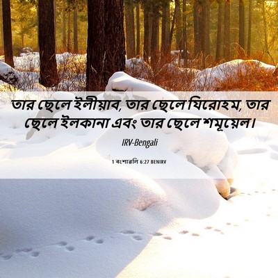 Picture 06 - 1 বংশাৱলি 6:27 BENIRV - তার ছেলে ইলীয়াব, - Bible Verse Picture