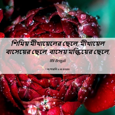 Picture 06 - 1 বংশাৱলি 6:40 BENIRV - শিমিয় মীখায়েলের - Bible Verse Picture