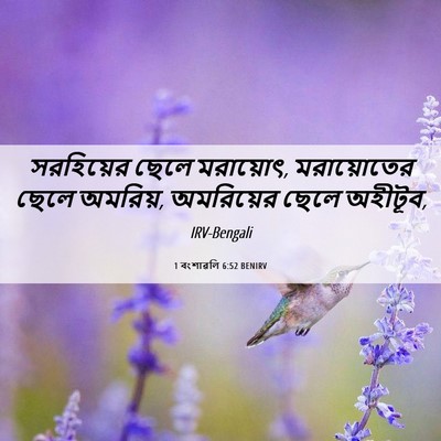 Picture 06 - 1 বংশাৱলি 6:52 BENIRV - সরহিয়ের ছেলে - Bible Verse Picture