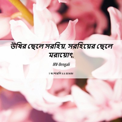 Picture 06 - 1 বংশাৱলি 6:6 BENIRV - উষির ছেলে সরহিয়, - Bible Verse Picture