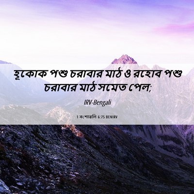 Picture 06 - 1 বংশাৱলি 6:75 BENIRV - হূকোক পশু চরাবার - Bible Verse Picture