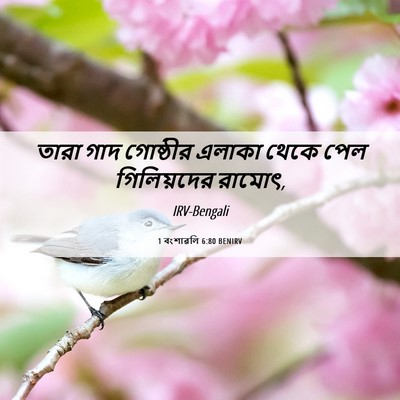 Picture 06 - 1 বংশাৱলি 6:80 BENIRV - তারা গাদ গোষ্ঠীর - Bible Verse Picture