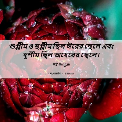 Picture 06 - 1 বংশাৱলি 7:12 BENIRV - শুপ্পীম ও হুপ্পীম - Bible Verse Picture