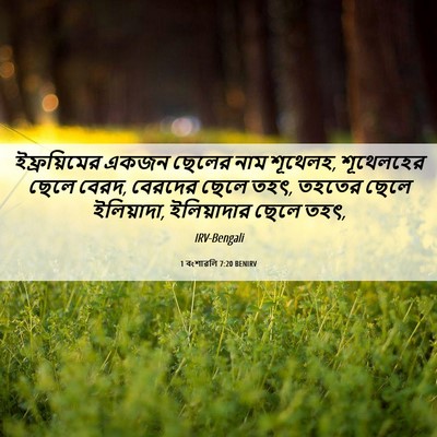 Picture 06 - 1 বংশাৱলি 7:20 BENIRV - ইফ্রয়িমের একজন - Bible Verse Picture