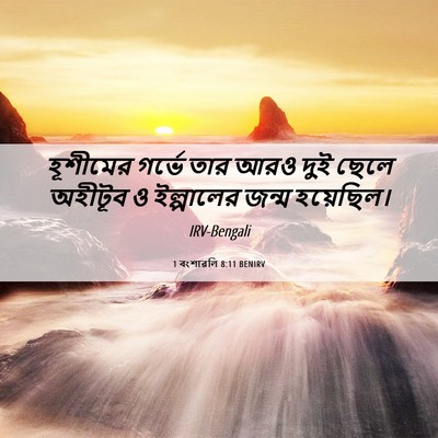 Picture 06 - 1 বংশাৱলি 8:11 BENIRV - হূশীমের গর্ভে তার - Bible Verse Picture