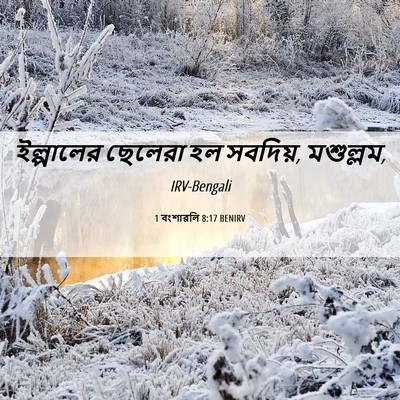 Picture 06 - 1 বংশাৱলি 8:17 BENIRV - ইল্পালের ছেলেরা - Bible Verse Picture