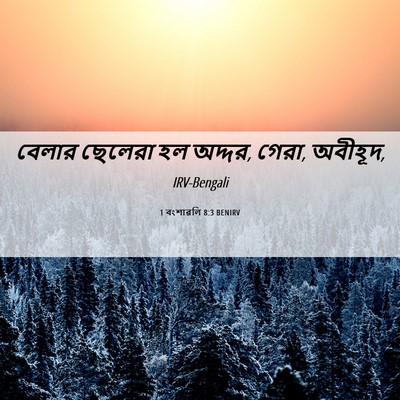 Picture 06 - 1 বংশাৱলি 8:3 BENIRV - বেলার ছেলেরা হল - Bible Verse Picture
