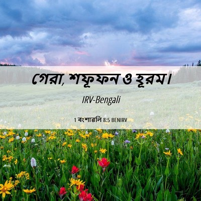 Picture 06 - 1 বংশাৱলি 8:5 BENIRV - গেরা, শফূফন ও - Bible Verse Picture