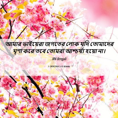 Picture 06 - 1 যোহনের 3:13 BENIRV - আমার ভাইয়েরা - Bible Verse Picture