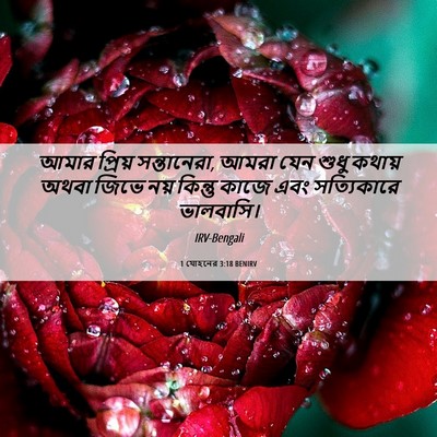 Picture 06 - 1 যোহনের 3:18 BENIRV - আমার প্রিয় - Bible Verse Picture