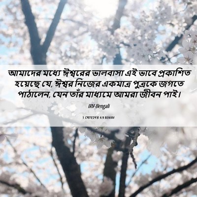 Picture 06 - 1 যোহনের 4:9 BENIRV - আমাদের মধ্যে - Bible Verse Picture