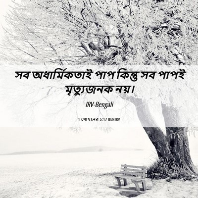 Picture 06 - 1 যোহনের 5:17 BENIRV - সব অধার্মিকতাই - Bible Verse Picture