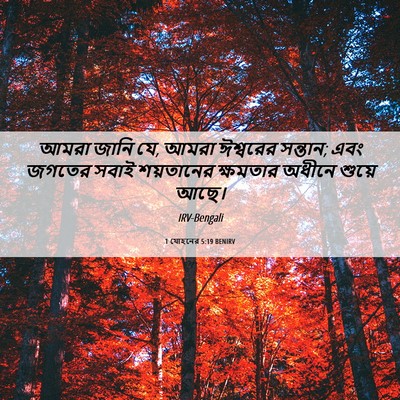 Picture 06 - 1 যোহনের 5:19 BENIRV - আমরা জানি যে, আমরা - Bible Verse Picture