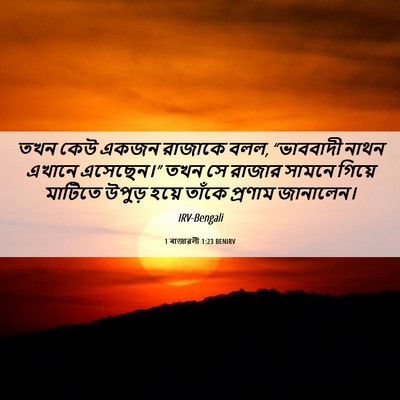 Picture 06 - 1 ৰাজাৱলী 1:23 BENIRV - তখন কেউ একজন - Bible Verse Picture