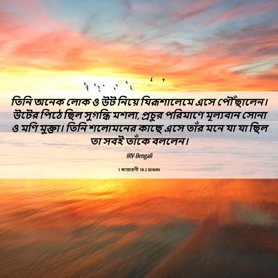 Picture 06 - 1 ৰাজাৱলী 10:2 BENIRV - তিনি অনেক লোক ও উট - Bible Verse Picture